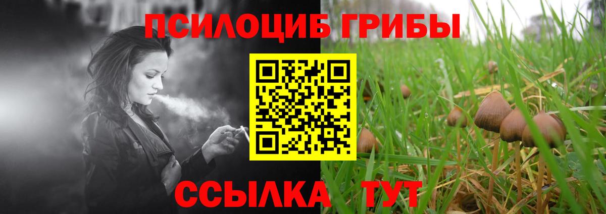 Галлюциногенные грибы ЛСД  Вход с VPN  Галлюциногенные грибы Cubensis  Елец 